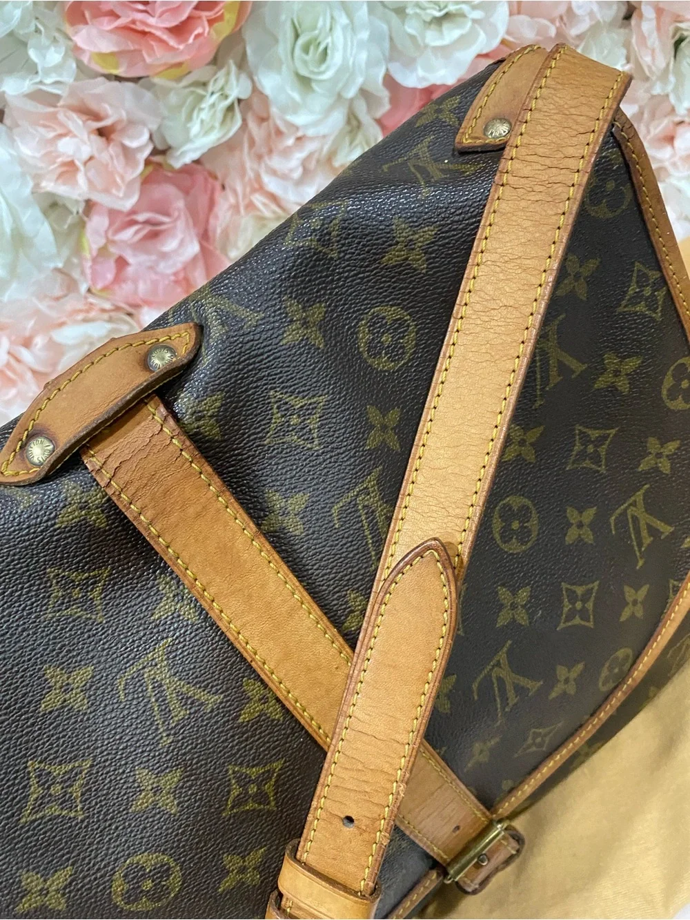 Louis Vuitton authentic louis